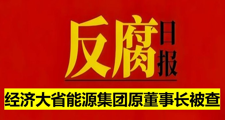 經濟大省能源集團原董事長被查！